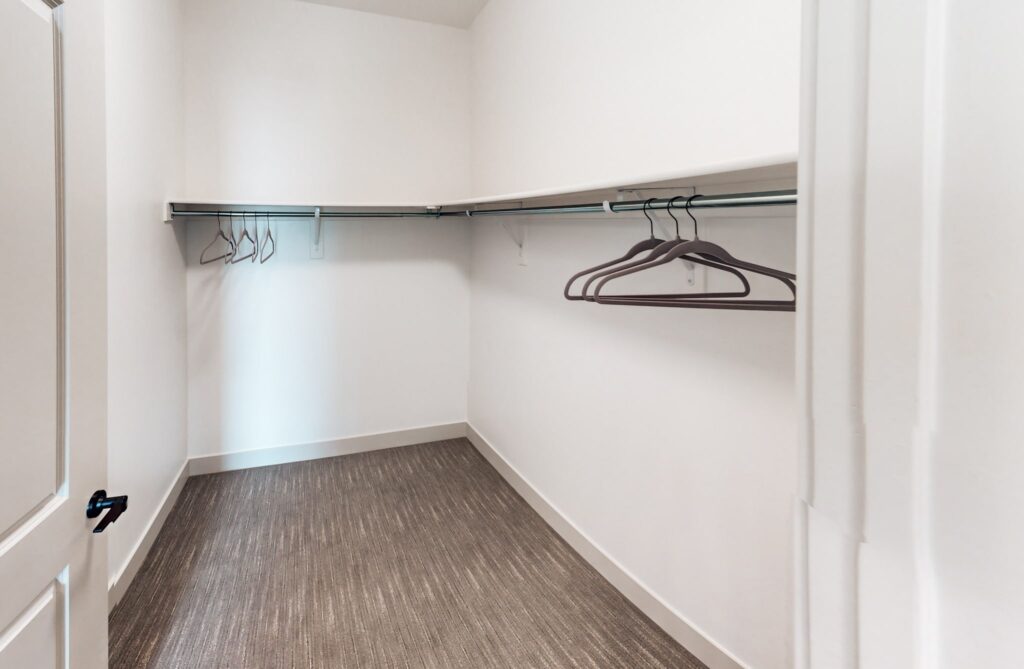 Luxury apartment walk-in closet